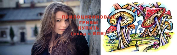 индика Переславль-Залесский