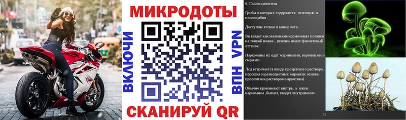 Псилоцибиновые грибы GOLDEN TEACHER  KRAKEN ссылка  мориарти телеграм  Сосновый Бор 